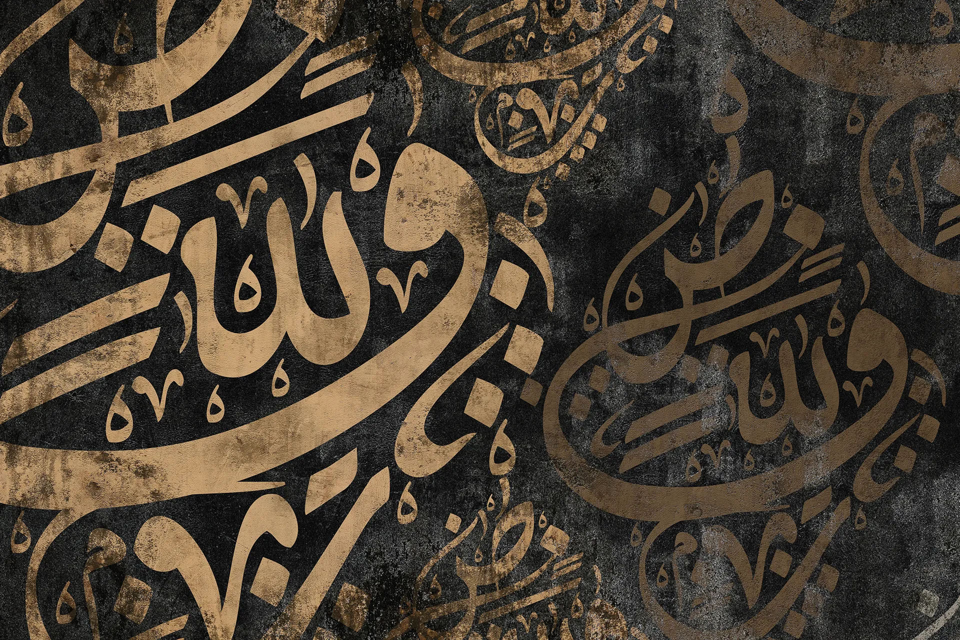 رسالة إلى لغتنا العربيّة الجميلة