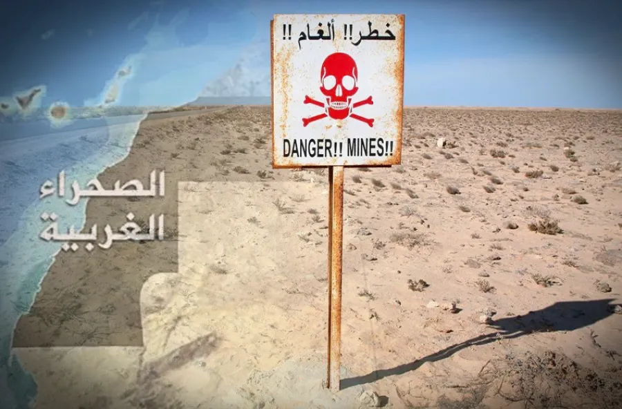 رمال الصحراء الغربية.. ذاكرة جماعية من الدماء والأطراف المبتورة