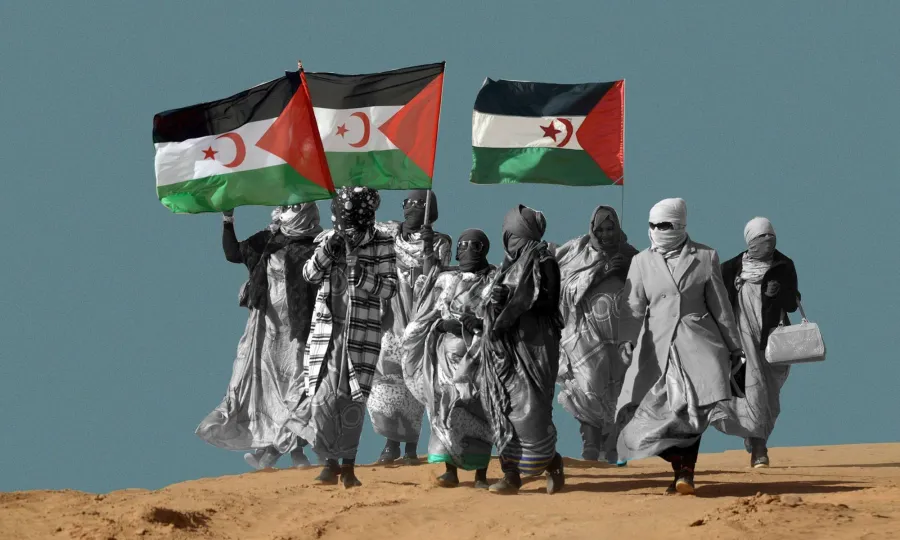 ندوة دولية بنيويورك تُسلط الضوء على مخاطر احتلال المغرب للصحراء الغربية
