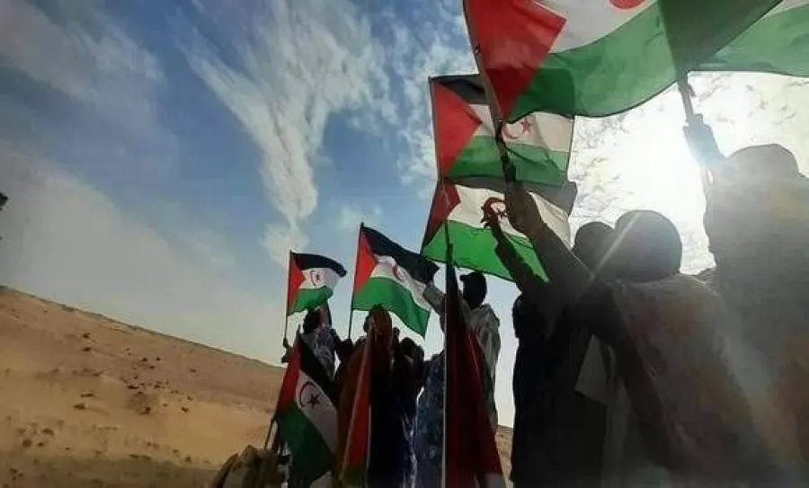 القانون الدولي ملزم لجميع الدول بوقف نهب ثروات الشعب الصحراوي