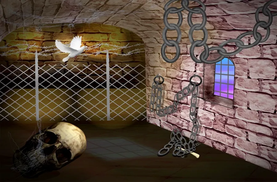 من صرخة الأم إلى وصية الشهيد.. أدب السجون يزهر حرية