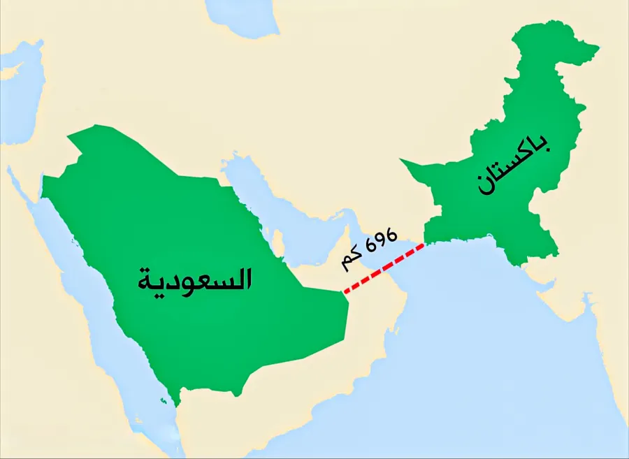 تحالف الشرق الأوسط-جنوب آسيا.. أمن أم رهانات جديدة؟